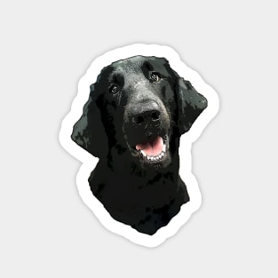 Flat Coated Retriever Sticker